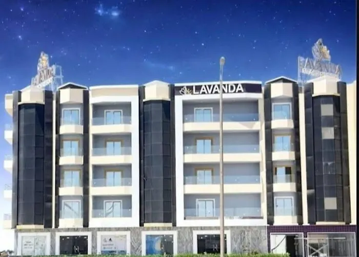 Lavanda 4*
